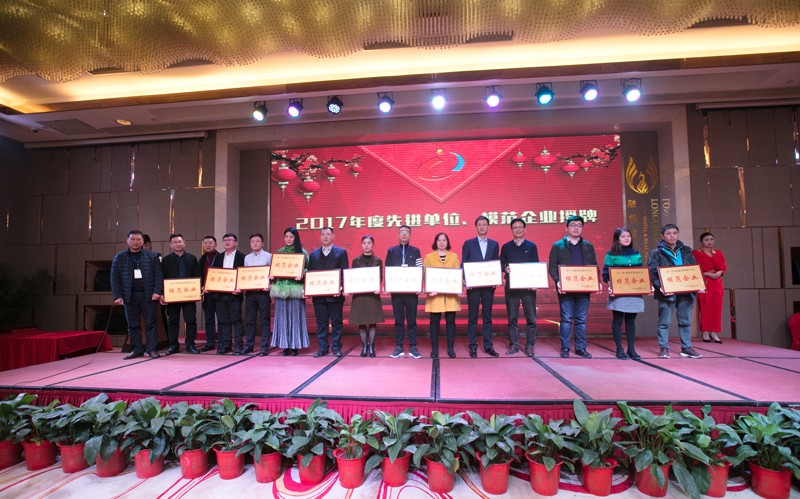 湖（hú）南省（shěng）城市照（zhào）明分會頒獎