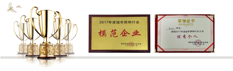 榮（róng）譽證（zhèng）書