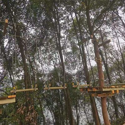 湖（hú）北宜都天龍灣青少年拓展基地叢林穿越