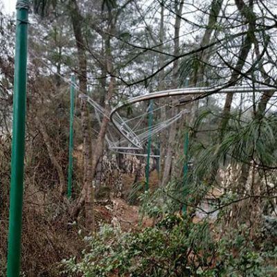 雲南宣威萬鬆居叢林軌道滑車